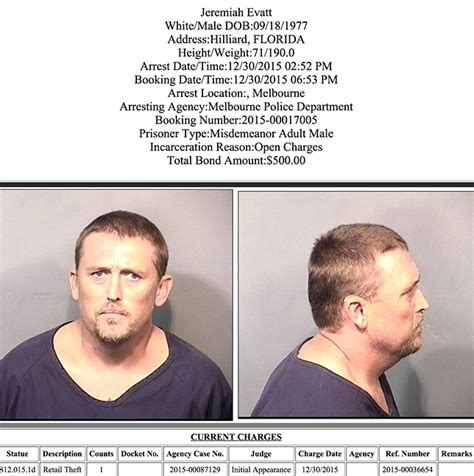 Mike S Vontrise, 35 - Winter Haven, FL - Has Court or Arrest Records