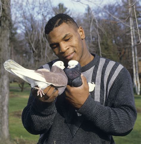 Mike tyson pigeons. Mike Tyson, the former world boxing champion, was recently featured in a six-part documentary for Animal Planet, “Taking on Tyson,” about his passion for raising and racing pigeons.Originally from Brooklyn, Mr. Tyson currently lives near Las Vegas, but keeps one of his pigeon coops in Bushwick, Brooklyn.For Bird Week, we asked Mr. … 