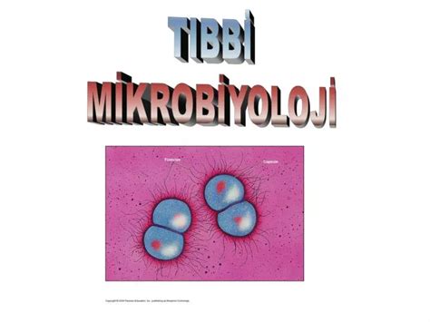 Mikrobiyoloji ppt
