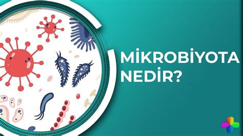 Mikrobiyota nedir?
