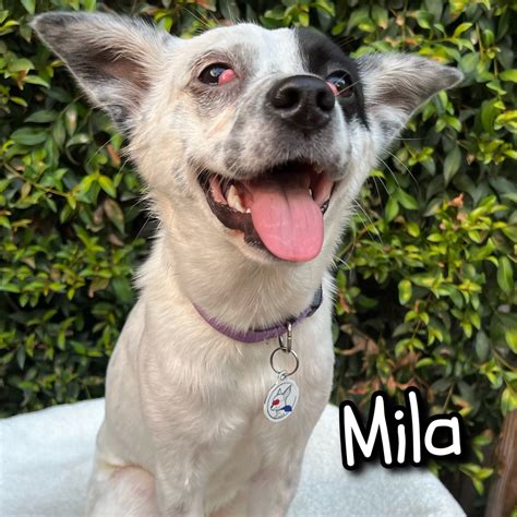 Mila.Free Leaked 🍌 XxX