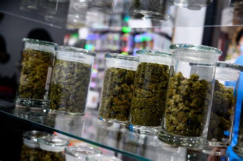 Reviews on Cannabis Dispensaries in Milan, Italy - Sm