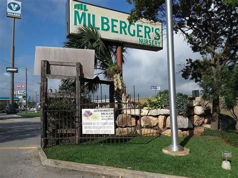 Milberger's san antonio. Visit Milberger's Nursery to find the plants, flowers and trees that will thrive in your landscape. ... 3920 North Loop 1604, San Antonio, TX 78624 210-497-3760 www.milbergernursery.com TREE LOT ... 