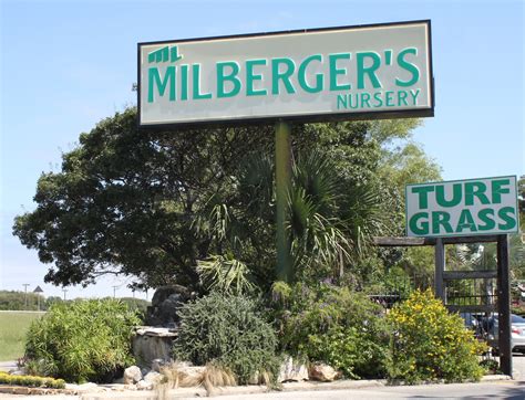 Milberger's - Visit Milberger's Nursery to find the plants, flowers and trees that will thrive in your landscape. Our stock is always fresh and the gardening expertise is free. 
