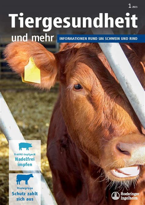 Milchfieber – Mit Konsequenz zum Ziel - Tiergesundheit und mehr