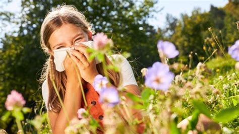 Mild winter to blame for increased allergies, doctor says