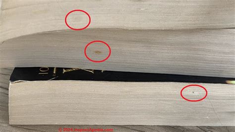 Mildew Contamination on Books - inspectapedia.com