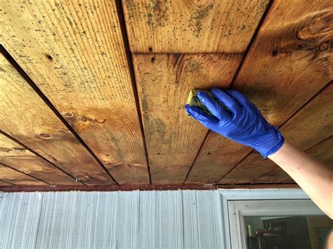 Mildew on wood. Jul 22, 2020 · Mix a second solution of half water and half bleach and apply it to the surfaces. Make sure to wear goggles and gloves to protect you from the chemicals. Spray or brush the solution onto the affected surface and allow it to sit for at least 15 minutes. That will allow the solution to sink in and reach the deep-seated growths. 
