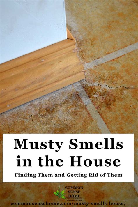 Mildew smell in house. Dealing with musty mold, water, or mildew smell in the house 1. Locate the source. Turn on your detective's nose to locate the source of the mold and musty odor. It is best to remove items from the area and examine the walls, tub caulking, grout, ceilings, tile, and any porous objects like carpets, upholstered furniture, and clothing. 2. 