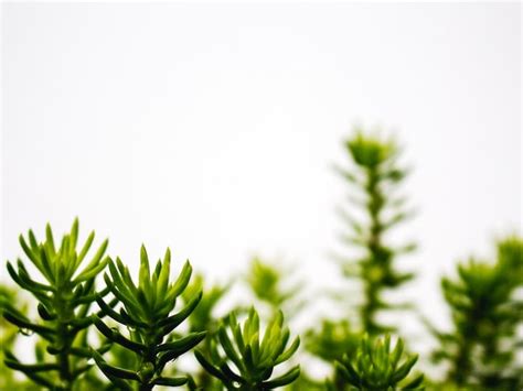 Miles and nobles funeral home. .  ...