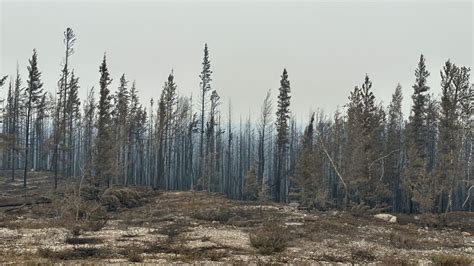Miles tratan de evacuar la capital de los Territorios del Noroeste de Canadá, mientras más de 200 incendios forestales “sin precedentes” asolan la región