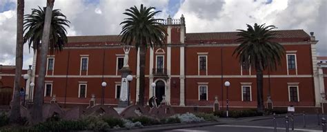 Milis Halı ve Koltuk Yıkama