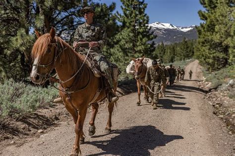 Military Mule Packing & Horsemanship Training Program