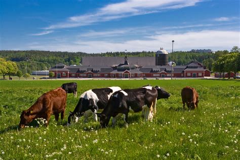 Milk Barn LLC hiring Purchaser in Hagerstown, Maryland ... - LinkedIn