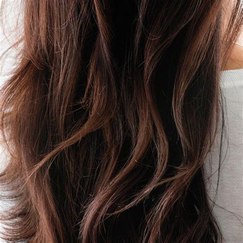 Milk Chocolate Highlights Brown Balayage Kit Madison Reed