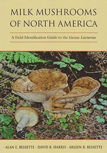 Milk mushrooms of north america a field identification guide to the genus lactarius. - Piratas de america (cronicas de america).