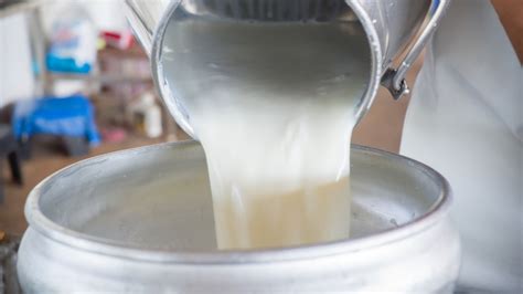 Milk production growth comes to a standstill in 2022