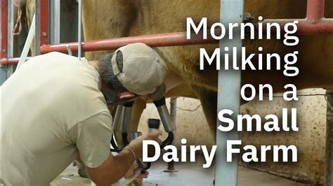 🔥 Milking_Honey Onlyfans Leak [HD]