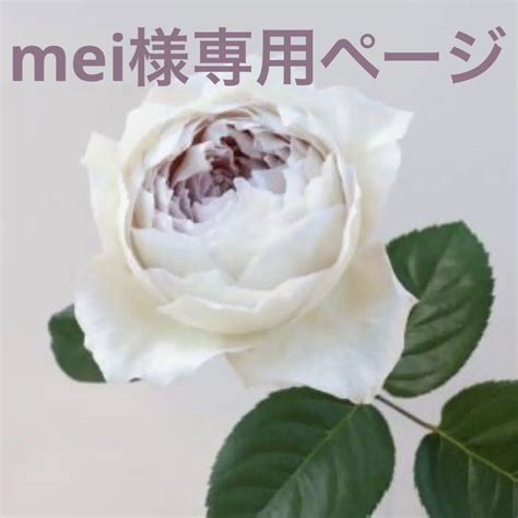 Milky.Mei Leaked [HD] 😈 59 Videos