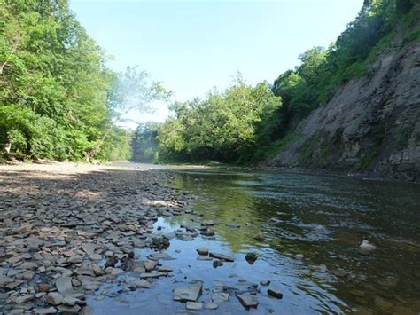 Mill Hollow-Bacon Woods Memorial Park (Vermilion)