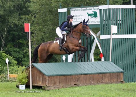 Millbrook Horse Trials set for Aug. 1-4 - PressReader