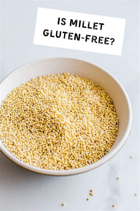 Millet gluten free. Are you someone who follows a gluten-free diet? If so, finding the right breakfast cereal can be a bit of a challenge. Luckily, there are now plenty of gluten-free options availabl... 
