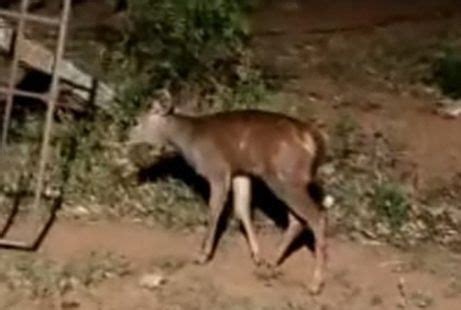 Milllaaa Mila Leaked [SEX VIDEO] 🔥 152 Photos