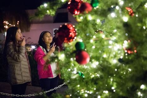 Milpitas rings in the holidays with tree lighting ceremony