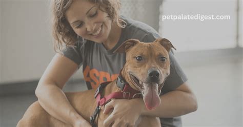 Search for pets for adoption at shelters near Milwaukee, WI. Find and adopt a pet on Petfinder today.