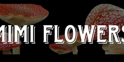 Mimi_Flowers_Premium Onlyfans Leak XxX 💋