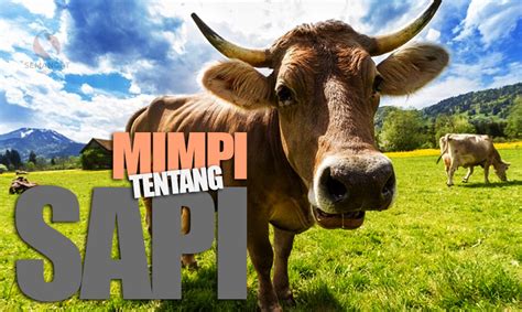 Mimpi beli sapi menurut islam.  Mungkin Anda pernah melihat Sapi Besar ...