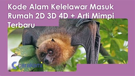 Mimpi berantem sama teman togel. 4d kelelawar masuk rumah.