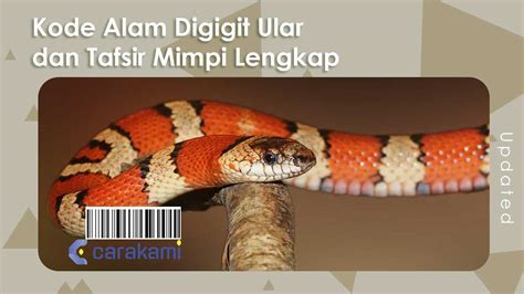 Mimpi dikejar ular besar togel. Kode alam orang mati.