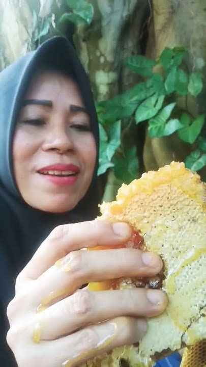 Mimpi makan madu langsung dari sarangnya togel. Ayah yang sudah meninggal.