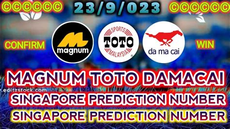 Mimpi melihat orang berantem togel. Toto magnum kuda singapore 4d. Infini88 bonus new member.