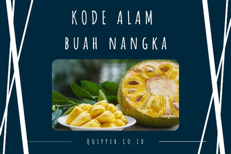 Mimpi memetik buah nangka togel. Kode alam togel kupu.