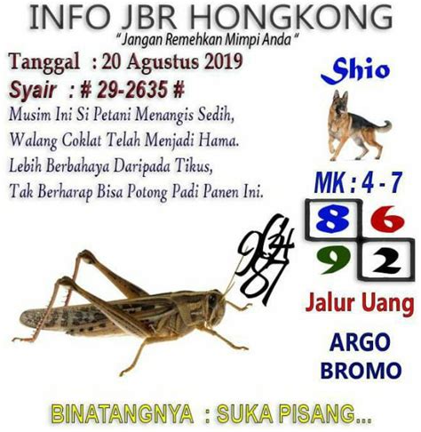 Mimpi panen padi togel 4d. Prediksi hk 27 februari.