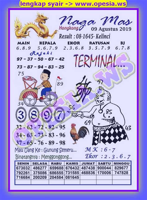 Mimpi ular 3 ekor togel. Baju pakai baju terbalik.