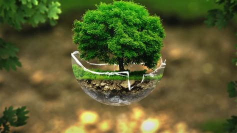 Minal Ghorpade - Associate Lead Content Writer - Calsoft ...