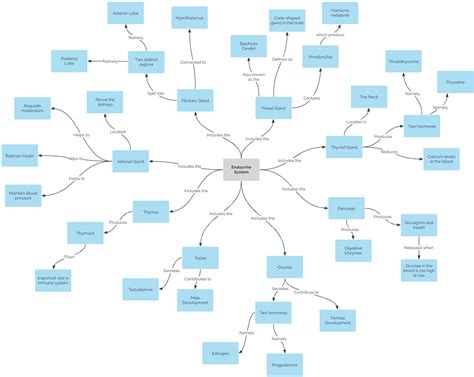 Mind Map Templates and Examples - Deepstash