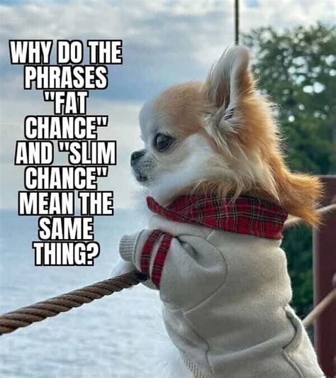 Mind blowing memes...