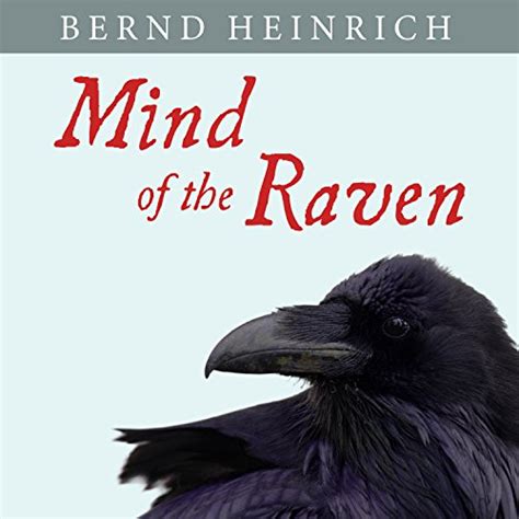Read Online Mind Of The Raven Investigations And Adventures With Wolfbirds By Bernd Heinrich