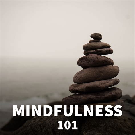 Mindfulness a guide for achieving clarity and purpose in your life. - Parts manual for case 8530 baler.