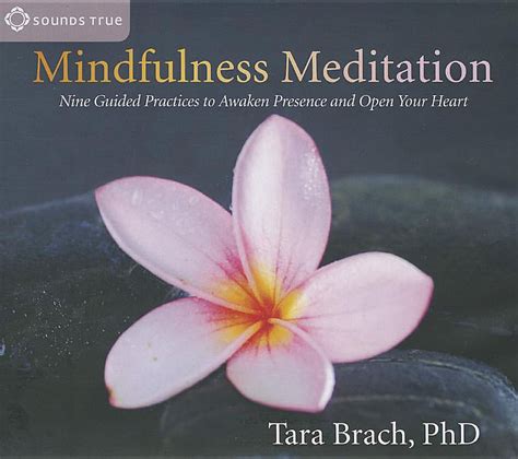 Mindfulness meditation nine guided practices to awaken presence and open your heart. - J'apprends à lire à mon bébé.
