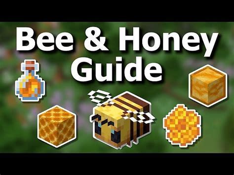 Minecraft Bees Spawning Behavior Attacking Breeding More