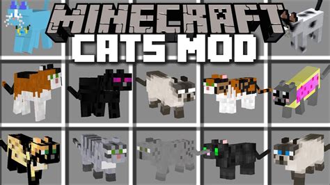 Minecraft CAT MOD / BREED AND SPAWN UGLY LOOKING CATS!