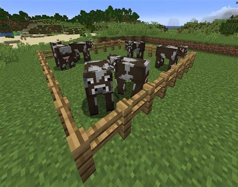 Minecraft Cows Wiki Behavior Spawn Breeding Trivia FAQs