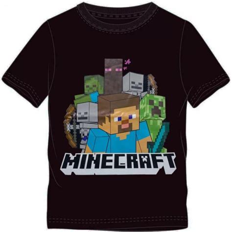 Minecraft Décor, Apparel & More for Kids Little Gecko