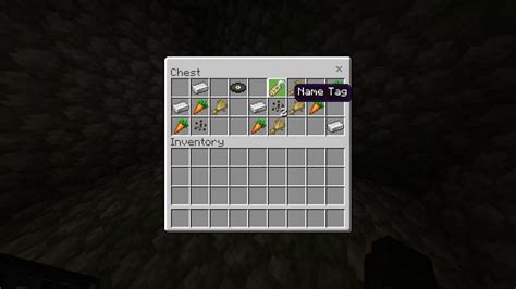 Minecraft Name Tag Wiki Guide All You Need To Know