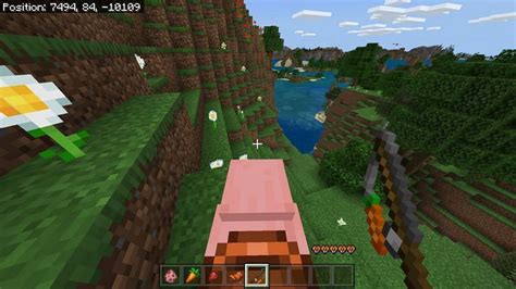 Minecraft Pig Spawning and Behavior 
